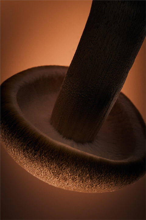 Uncompromising Quality, Every Time