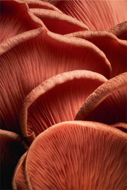 Craftsmanship in Every Mushroom