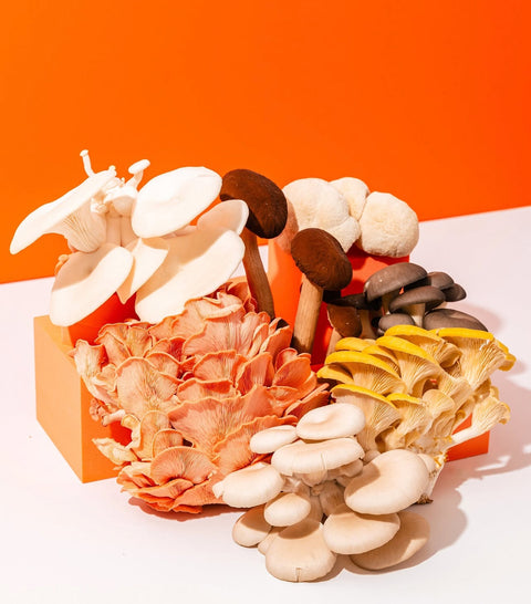 3. Step-by-step Instructions