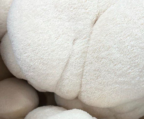 Lion’s Mane Mushroom